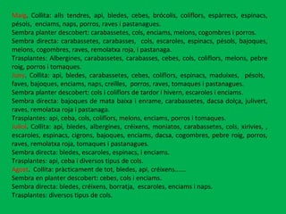Maig . Collita: alls tendres, api, bledes, cebes, brócolis, coliflors, espàrrecs, espinacs, pésols,  enciams, naps, porros, raves i pastanagues. Sembra planter descobert: carabassetes, cols, enciams, melons, cogombres i porros. Sembra directa: carabassetes, carabasses,  cols, escaroles, espinacs, pésols, bajoques, melons, cogombres, raves, remolatxa roja, i pastanaga. Trasplantes: Albergines, carabassetes, carabasses, cebes, cols, coliflors, melons, pebre roig, porros i tomaques.  Juny . Collita: api, bledes, carabassetes, cebes, coliflors, espinacs, maduixes,  pésols,  faves, bajoques, enciams, naps, creïlles,  porros, raves, tomaques i pastanagues. Sembra planter descobert: cols i coliflors de tardor i hivern, escaroles i enciams. Sembra directa: bajoques de mata baixa i enrame, carabassetes, dacsa dolça, julivert, raves, remolatxa roja i pastanaga. Trasplantes: api, ceba, cols, coliflors, melons, enciams, porros i tomaques.  Juliol . Collita: api, bledes, albergines, créixens, moniatos, carabassetes, cols, xirivies, , escaroles, espinacs, cigrons, bajoques, enciams, dacsa, cogombres, pebre roig, porros, raves, remolatxa roja, tomaques i pastanagues. Sembra directa: bledes, escaroles, espinacs, i enciams.  Trasplantes: api, ceba i diversos tipus de cols. Agost .  Collita: pràcticament de tot, bledes, api, créixens...... Sembra en planter descobert: cebes, cols i enciams.  Sembra directa: bledes, créixens, borratja,  escaroles, enciams i naps.  Trasplantes: diversos tipus de cols. 