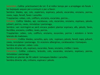 Setembre . Collita: pràcticament de tot. É el millor temps per a arreplegar els fesols  i les bajoques seques per a consum o per a llavor. Sembra: bledes, api, cols, espàrrecs, espinacs, pésols, escaroles, enciams, porros, raves, naps, fenoll, faves i carxofes. Trasplantes: cebes, cols, coliflors, enciams, escaroles, porros... Octubre . Collita: bledes, api, carabassa, cols, escaroles, enciams, espinacs, pésols, julivert, porros, raves, remolatxa i pastanaga. Sembra: van restringint-se però encara podem plantar espinacs, alls, pésols, faves, llentilles, enciams, creïlles, raves, porros.  Trasplantes: cebes, cols, coliflors, enciams, escaroles, porros i estolons o brots laterals de maduixes. Novembre . Collita: bledes, carxofes, apis, cols,  espinacs, pésols, fenoll, naps, julivert, raves, remolatxa i pastanaga.  En ocasions albergines, carabassetes i tomaques.  Sembra en planter: cebes i cols. Sembra directa: alls, espinacs, escaroles, faves, enciams, creïlles i raves. Desembre . Collita: créixens, brócolis, cols, escaroles, enciams, espinacs, porros, remolatxa i pastanaga. Sembra en planter de llit calent: tomaques bledes i carxofes. Sembra directa: alls, créixens, espinacs i pésols. 