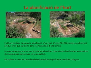 En l’hort ecològic  la correcta planificació  d’un hort  d’entre 50 i 300 metres quadrats pot produir  més que suficient  per a les necessitats d’una família.  La seva estructura ens permet la rotació dels cultius i dur a terme les distintes associacions de vegetals que afavoreixen  el seu equilibri. Recordem, si  fem les coses ben fetes impedirem l’aparició de malalties i plagues.  La planificació de l’hort  