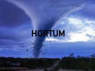 HORTUM
 
