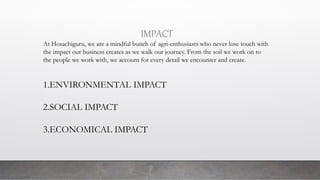 IMPACT
At Hosachiguru, we are a mindful bunch of agri-enthusiasts who never lose touch with
the impact our business creates as we walk our journey. From the soil we work on to
the people we work with, we account for every detail we encounter and create.
1.ENVIRONMENTAL IMPACT
2.SOCIAL IMPACT
3.ECONOMICAL IMPACT
 