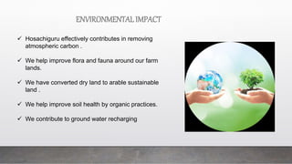 ENVIRONMENTAL IMPACT
 Hosachiguru effectively contributes in removing
atmospheric carbon .
 We help improve flora and fauna around our farm
lands.
 We have converted dry land to arable sustainable
land .
 We help improve soil health by organic practices.
 We contribute to ground water recharging
 