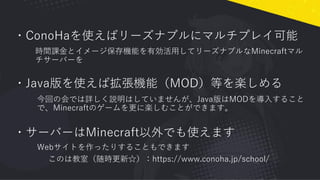 Hoscon Minecraft18