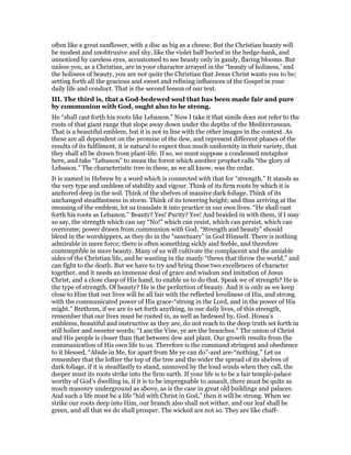 often like a great sunflower, with a disc as big as a cheese. But the Christian beauty will
be modest and unobtrusive and shy, like the violet half buried in the hedge-bank, and
unnoticed by careless eyes, accustomed to see beauty only in gaudy, flaring blooms. But
unless you, as a Christian, are in your character arrayed in the “beauty of holiness,’ and
the holiness of beauty, you are not quite the Christian that Jesus Christ wants you to be;
setting forth all the gracious and sweet and refining influences of the Gospel in your
daily life and conduct. That is the second lesson of our text.
III. The third is, that a God-bedewed soul that has been made fair and pure
by communion with God, ought also to be strong.
He “shall cast forth his roots like Lebanon.” Now I take it that simile does not refer to the
roots of that giant range that slope away down under the depths of the Mediterranean.
That is a beautiful emblem, but it is not in line with the other images in the context. As
these are all dependent on the promise of the dew, and represent different phases of the
results of its fulfilment, it is natural to expect thus much uniformity in their variety, that
they shall all be drawn from plant-life. If so, we must suppose a condensed metaphor
here, and take “Lebanon” to mean the forest which another prophet calls “the glory of
Lebanon.” The characteristic tree in these, as we all know, was the cedar.
It is named in Hebrew by a word which is connected with that for “strength.” It stands as
the very type and emblem of stability and vigour. Think of its firm roots by which it is
anchored deep in the soil. Think of the shelves of massive dark foliage. Think of its
unchanged steadfastness in storm. Think of its towering height; and thus arriving at the
meaning of the emblem, let us translate it into practice in our own lives. “He shall cast
forth his roots as Lebanon.” Beauty? Yes! Purity? Yes! And braided in with them, if I may
so say, the strength which can say “No!” which can resist, which can persist, which can
overcome; power drawn from communion with God. “Strength and beauty” should
blend in the worshippers, as they do in the “sanctuary” in God Himself. There is nothing
admirable in mere force; there is often something sickly and feeble, and therefore
contemptible in mere beauty. Many of us will cultivate the complacent and the amiable
sides of the Christian life, and be wanting in the manly “thews that throw the world,” and
can fight to the death. But we have to try and bring these two excellences of character
together, and it needs an immense deal of grace and wisdom and imitation of Jesus
Christ, and a close clasp of His hand, to enable us to do that. Speak we of strength? He is
the type of strength. Of beauty? He is the perfection of beauty. And it is only as we keep
close to Him that our lives will be all fair with the reflected loveliness of His, and strong
with the communicated power of His grace-“strong in the Lord, and in the power of His
might.” Brethren, if we are to set forth anything, in our daily lives, of this strength,
remember that our lives must be rooted in, as well as bedewed by, God. Hosea’s
emblems, beautiful and instructive as they are, do not reach to the deep truth set forth in
still holier and sweeter words; “I am the Vine, ye are the branches.” The union of Christ
and His people is closer than that between dew and plant. Our growth results from the
communication of His own life to us. Therefore is the command stringent and obedience
to it blessed, “Abide in Me, for apart from Me ye can do”-and are-“nothing.” Let us
remember that the loftier the top of the tree and the wider the spread of its shelves of
dark foliage, if it is steadfastly to stand, unmoved by the loud winds when they call, the
deeper must its roots strike into the firm earth. If your life is to be a fair temple-palace
worthy of God’s dwelling in, if it is to be impregnable to assault, there must be quite as
much masonry underground as above, as is the case in great old buildings and palaces.
And such a life must be a life “hid with Christ in God,” then it will be strong. When we
strike our roots deep into Him, our branch also shall not wither, and our leaf shall be
green, and all that we do shall prosper. The wicked are not so. They are like chaff-
 