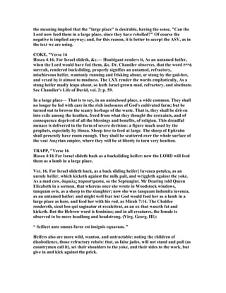 the meaning implied that the "large place" is desirable, having the sense, "Can the
Lord now feed them in a large place, since they have rebelled?" Of course the
negative is implied anyway; and, for this reason, it is better to accept the ASV, as in
the text we are using.
COKE, "Verse 16
Hosea 4:16. For Israel slideth, &c.— Houbigant renders it, As an untamed heifer,
when the Lord would have fed them, &c. Dr. Chandler observes, that the word ‫סררה‬
sorerah, rendered backsliding, properly signifies an untamed, refractory,
mischievous heifer, wantonly running and frisking about, or stung by the gad-bee,
and vexed by it almost to madness. The LXX render the words emphatically, As a
stung heifer madly leaps about, so hath Israel grown mad, refractory, and obstinate.
See Chandler's Life of David, vol. 2: p. 59.
In a large place— That is to say, in an uninclosed place, a wide common. They shall
no longer be fed with care in the rich inclosures of God's cultivated farm; but be
turned out to browse the scanty herbage of the waste. That is, they shall be driven
into exile among the heathen, freed from what they thought the restraints, and of
consequence deprived of all the blessings and benefits, of religion. This dreadful
menace is delivered in the form of severe derision: a figure much used by the
prophets, especially by Hosea. Sheep love to feed at large. The sheep of Ephraim
shall presently have room enough. They shall be scattered over the whole surface of
the vast Assyrian empire, where they will be at liberty to turn very heathen.
TRAPP, "Verse 16
Hosea 4:16 For Israel slideth back as a backsliding heifer: now the LORD will feed
them as a lamb in a large place.
Ver. 16. For Israel slideth back, as a back sliding heifer] Iuvenea petulca, as an
unruly heifer, which kicketh against the milk pail, and wriggleth against the yoke.
As a mad cow, δαµαλις παροιστρωσα, so the Septuagint. Mr Dearing told Queen
Elizabeth in a sermon, that whereas once she wrote in Woodstock windows,
tanquam ovis, as a sheep to the slaughter; now she was tanquam indomita iuvenca,
as an untamed heifer; and might well fear lest God would feed her as a lamb in a
large place as here, and feed her with his rod, as Micah 7:14. The Chaldee
rendereth, sicut bos qui saginatur et recalcitrat, as an ox that waxeth fat and
kicketh. But the Hebrew word is feminine; and in all creatures, the female is
observed to be more headlong and headstrong. (Virg. Georg. III):
“ Scilicet ante omnes furor est insignis equarum. ”
Heifers also are more wild, wanton, and untractable: noting the children of
disobedience, those refractory rebels: that, as false jades, will not stand and pull (as
countrymen call it), set their shoulders to the yoke, and their sides to the work, but
give in and kick against the prick.
 