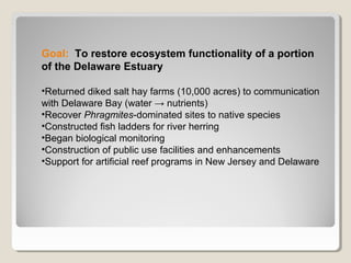 Goal: To restore ecosystem functionality of a portion 
of the Delaware Estuary 
•Returned diked salt hay farms (10,000 acres) to communication 
with Delaware Bay (water → nutrients) 
•Recover Phragmites-dominated sites to native species 
•Constructed fish ladders for river herring 
•Began biological monitoring 
•Construction of public use facilities and enhancements 
•Support for artificial reef programs in New Jersey and Delaware 
 