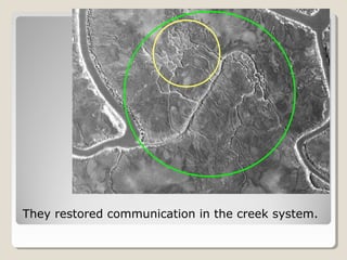 They restored communication in the creek system. 
 