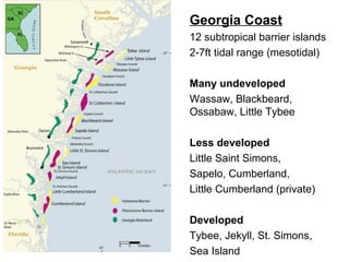 Georgia Coast 
12 subtropical barrier islands 
2-7ft tidal range (mesotidal) 
Many undeveloped 
Wassaw, Blackbeard, 
Ossabaw, Little Tybee 
Less developed 
Little Saint Simons, 
Sapelo, Cumberland, 
Little Cumberland (private) 
Developed 
Tybee, Jekyll, St. Simons, 
Sea Island 
 