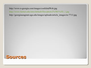 http://www.n-georgia.com/images/costIslndWeb.jpg 
http://www.lternet.edu/sites/default/files/photo2%5B1%5D_1.jpg 
http://georgiaseagrant.uga.edu/images/uploads/article_images/m-7713.jpg 
SSoouurrcceess 
