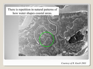 There is repetition in natural patterns of 
how water shapes coastal areas. 
Courtesy of R. Kneib 2003 
 