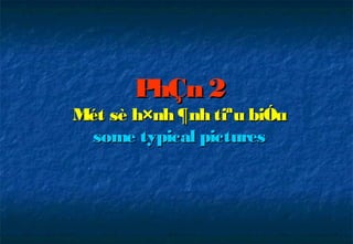 PhÇn 2
Mét sè h×nh ¶nh tiªu biÓu
 some typical pictures
 