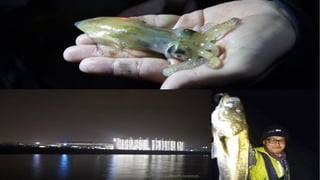 Copyright © 2016 GaiaxCOPYRIGHT © GAIAX CO.LTD. ALL RIGHTS RESERVED.
 