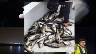 Copyright © 2016 GaiaxCOPYRIGHT © GAIAX CO.LTD. ALL RIGHTS RESERVED.
 