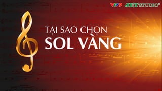 TƱI SAO CHỌN
SOL VÀNG
 
