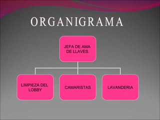 ORGANIGRAMA JEFA DE AMA  DE LLAVES. LIMPIEZA DEL  LOBBY CAMARISTAS LAVANDERIA 