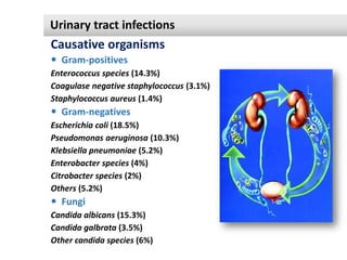 Urinary tract infections
Causative organisms
 Gram-positives
Enterococcus species (14.3%)
Coagulase negative staphylococc...