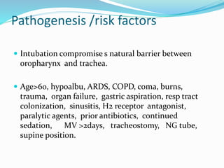 Pathogenesis /risk factors
 Intubation compromise s natural barrier between
oropharynx and trachea.
 Age>60, hypoalbu, ARDS, COPD, coma, burns,
trauma, organ failure, gastric aspiration, resp tract
colonization, sinusitis, H2 receptor antagonist,
paralytic agents, prior antibiotics, continued
sedation, MV >2days, tracheostomy, NG tube,
supine position.
 