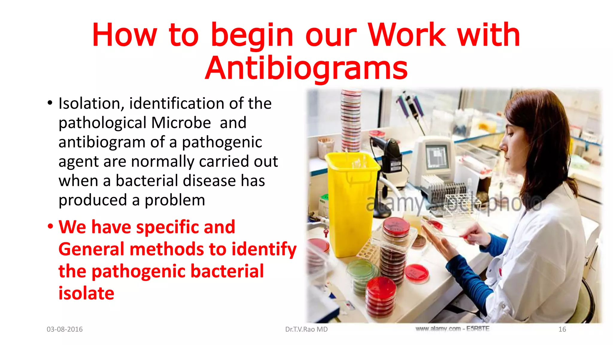 HOSPITAL ANTIBIOGRAMS principles interpretation and documentation | PPTX