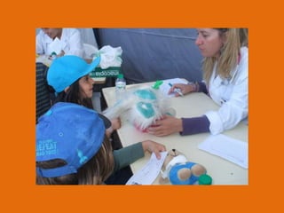 Hospital da bonecada