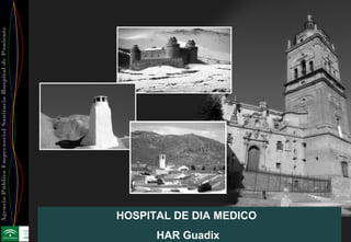 AgenciaPúblicaEmpresarialSanitariaHospitaldePoniente
HOSPITAL DE DIA MEDICO
HAR Guadix
 