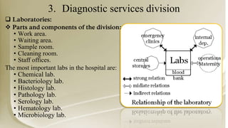 3. Diagnostic services division
 Laboratories:
 Parts and components of the division:
• Work area.
• Waiting area.
• Sample room.
• Cleaning room.
• Staff offices.
The most important labs in the hospital are:
• Chemical lab.
• Bacteriology lab.
• Histology lab.
• Pathology lab.
• Serology lab.
• Hematology lab.
• Microbiology lab.
 