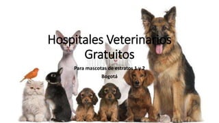Hospitales Veterinarios
Gratuitos
Para mascotas de estratos 1 y 2
Bogotá
 