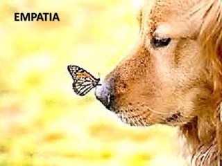 EMPATIA
 