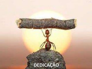 DEDICAÇÃO
 