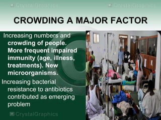 Massification Infections Hospital infections | PPSX