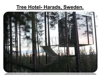 Tree Hotel- Harads, Sweden.
 