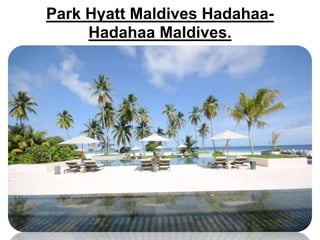 Park Hyatt Maldives Hadahaa-
Hadahaa Maldives.
 