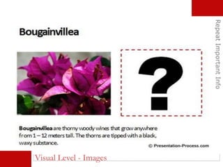 RepeatImportantInfo
Visual Level - Images
 