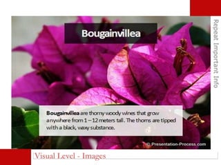 RepeatImportantInfo
Visual Level - Images
 