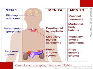 RepeatImportantInfo
https://upload.wikimedia.org/wikipedia/commons/b/bb/Multiple_endocrine_neoplasia.png
Visual Level - Graphs, Charts, and Tables
 