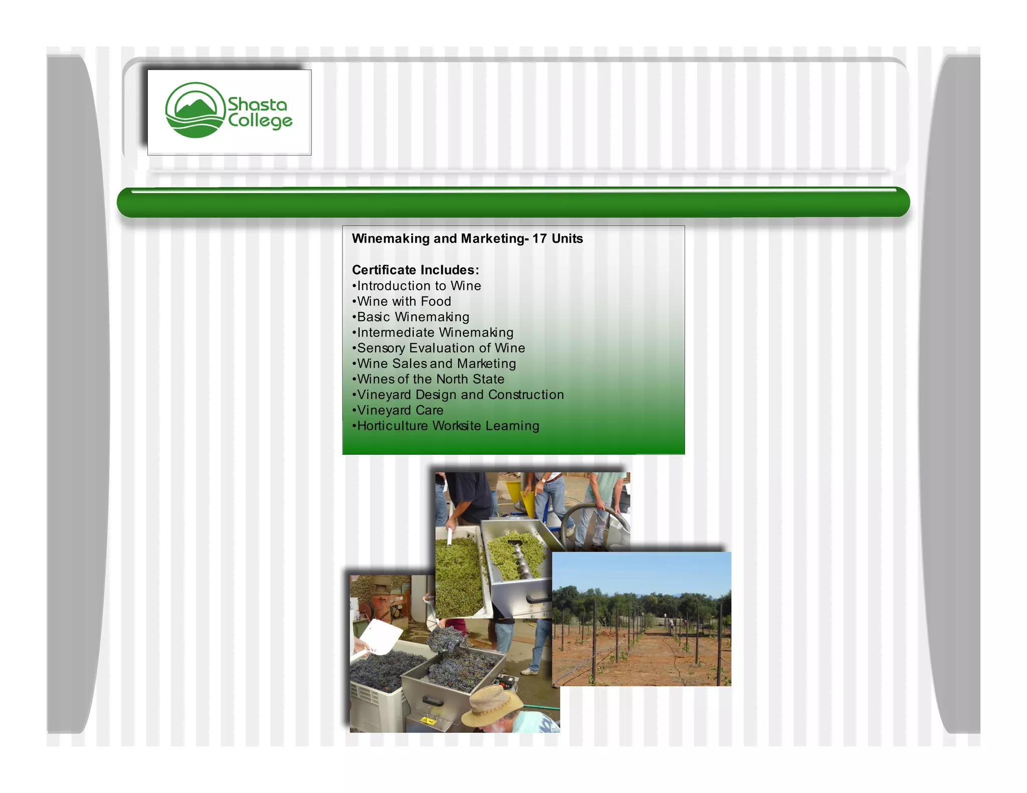 Winemaking and Marketing- 17 Units

Certificate Includes:
•Introduction to Wine
•Wine with Food
•Basic Winemaking
•Intermediate Winemaking
•Sensory Evaluation of Wine
•Wine Sales and Marketing
•Wines of the North State
•Vineyard Design and Construction
•Vineyard Care
•Horticulture Worksite Learning
 