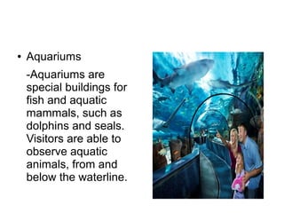 ● Aquariums
-Aquariums are
special buildings for
fish and aquatic
mammals, such as
dolphins and seals.
Visitors are able to
observe aquatic
animals, from and
below the waterline.
 