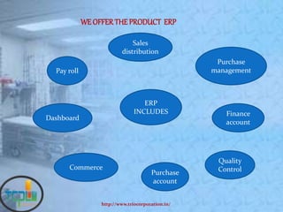 Hospital management software | PPTX