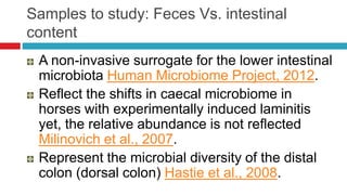Samples to study: Feces Vs. intestinal
content
A non-invasive surrogate for the lower intestinal
microbiota Human Microbiome Project, 2012.
Reflect the shifts in caecal microbiome in
horses with experimentally induced laminitis
yet, the relative abundance is not reflected
Milinovich et al., 2007.
Represent the microbial diversity of the distal
colon (dorsal colon) Hastie et al., 2008.
 