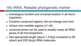 16s rRNA: Reliable phylogenetic marker
homologous function and universal location in all micro-
organisms
Contains conserved regions; did not change over time
Unique nine variable regions (v1-v9).
universal primer can be used to amplify nearly all rRNA
genes of all microorganisms
Has appropriate length (about 1.5 kbp) compared to 5S
(short) and 23S (long) rRNA molecules.
 