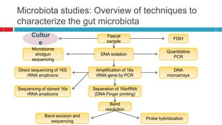 Microbiota studies: Overview of techniques to
characterize the gut microbiota
Faecal
sample
FISH
DNA isolation
Amplification of 16s
rRNA gene by PCR
Separation of 16srRNA
(DNA Finger printing)
Band
resolution
Microbiome
shotgun
sequencing
Direct sequencing of 16S
rRNA amplicons
Sequencing of cloned 16s
rRNA amplicons
Quantitative
PCR
DNA
microarrays
Band excision and
sequencing
Probe hybridization
Cultur
e
 