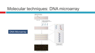 Molecular techniques: DNA microarray
DNA Microarray
 