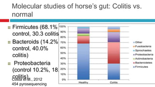 Molecular studies of horse’s gut: Colitis vs.
normal
Firmicutes (68.1%
control, 30.3 colitis),
Bacteroids (14.2%
control, 40.0%
colitis)
Proteobacteria
(control 10.2%, 18.7
colitis),Costa et al., 2012
454 pyrosequencing
 