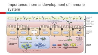 Importance: normal development of immune
system
 