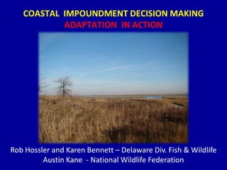 COASTAL IMPOUNDMENT DECISION MAKING
ADAPTATION IN ACTION
Rob Hossler and Karen Bennett – Delaware Div. Fish & Wildlife
Austin Kane - National Wildlife Federation
 