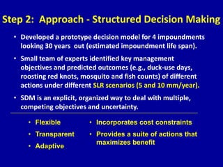• Developed a prototype decision model for 4 impoundments
looking 30 years out (estimated impoundment life span).
• Small team of experts identified key management
objectives and predicted outcomes (e.g., duck-use days,
roosting red knots, mosquito and fish counts) of different
actions under different SLR scenarios (5 and 10 mm/year).
• SDM is an explicit, organized way to deal with multiple,
competing objectives and uncertainty.
Step 2: Approach - Structured Decision Making
• Flexible
• Transparent
• Adaptive
• Incorporates cost constraints
• Provides a suite of actions that
maximizes benefit
 