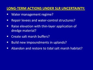 LONG-TERM ACTIONS UNDER SLR UNCERTAINTY:
 Water management regime?
 Repair levees and water-control structures?
 Raise elevation with thin-layer application of
dredge material?
 Create salt marsh buffers?
 Build new impoundments in uplands?
 Abandon and restore to tidal salt marsh habitat?
 