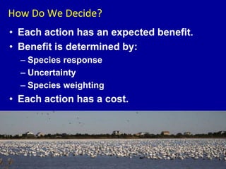 How Do We Decide?
• Each action has an expected benefit.
• Benefit is determined by:
– Species response
– Uncertainty
– Species weighting
• Each action has a cost.
 