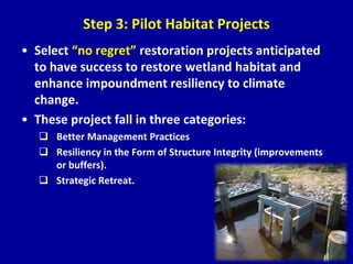 Step 3: Pilot Habitat Projects
• Select “no regret” restoration projects anticipated
to have success to restore wetland habitat and
enhance impoundment resiliency to climate
change.
• These project fall in three categories:
 Better Management Practices
 Resiliency in the Form of Structure Integrity (improvements
or buffers).
 Strategic Retreat.
 