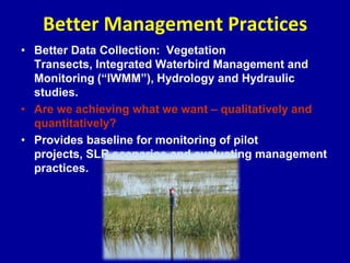 Better Management Practices
• Better Data Collection: Vegetation
Transects, Integrated Waterbird Management and
Monitoring (“IWMM”), Hydrology and Hydraulic
studies.
• Are we achieving what we want – qualitatively and
quantitatively?
• Provides baseline for monitoring of pilot
projects, SLR scenarios and evaluating management
practices.
 