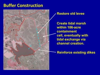 Buffer Construction
Restore old levee
Create tidal marsh
within 106-acre
containment
cell, eventually with
tidal exchange via
channel creation.
Reinforce existing dikes
 
